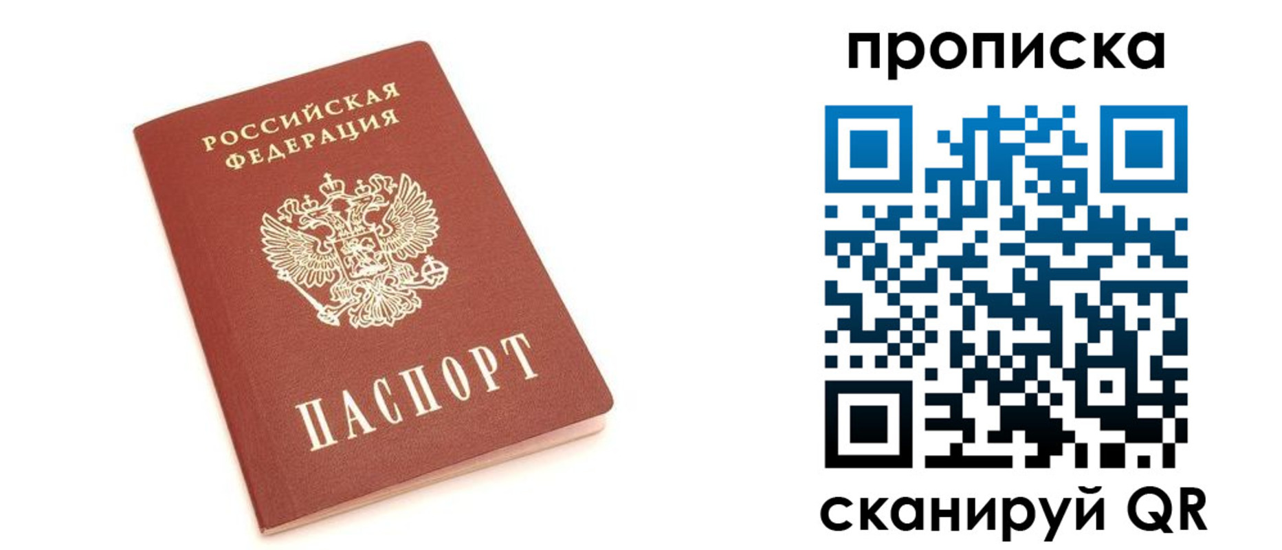 прописка 2025 в Камешково